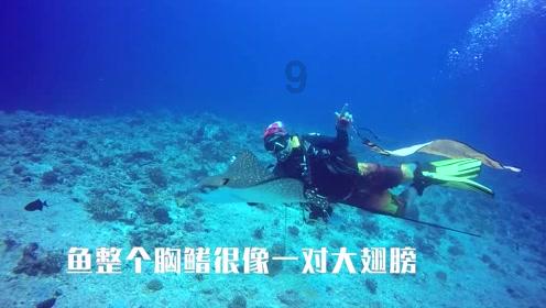 政策打出“组合拳” 金融支持房地产再加码
